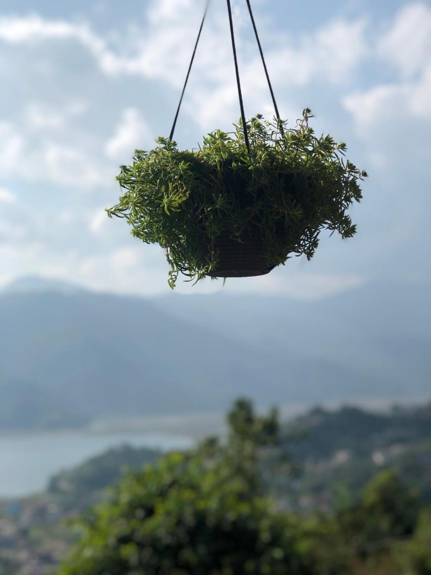 Into The Wild Pokhara Villa Kaski Luaran gambar