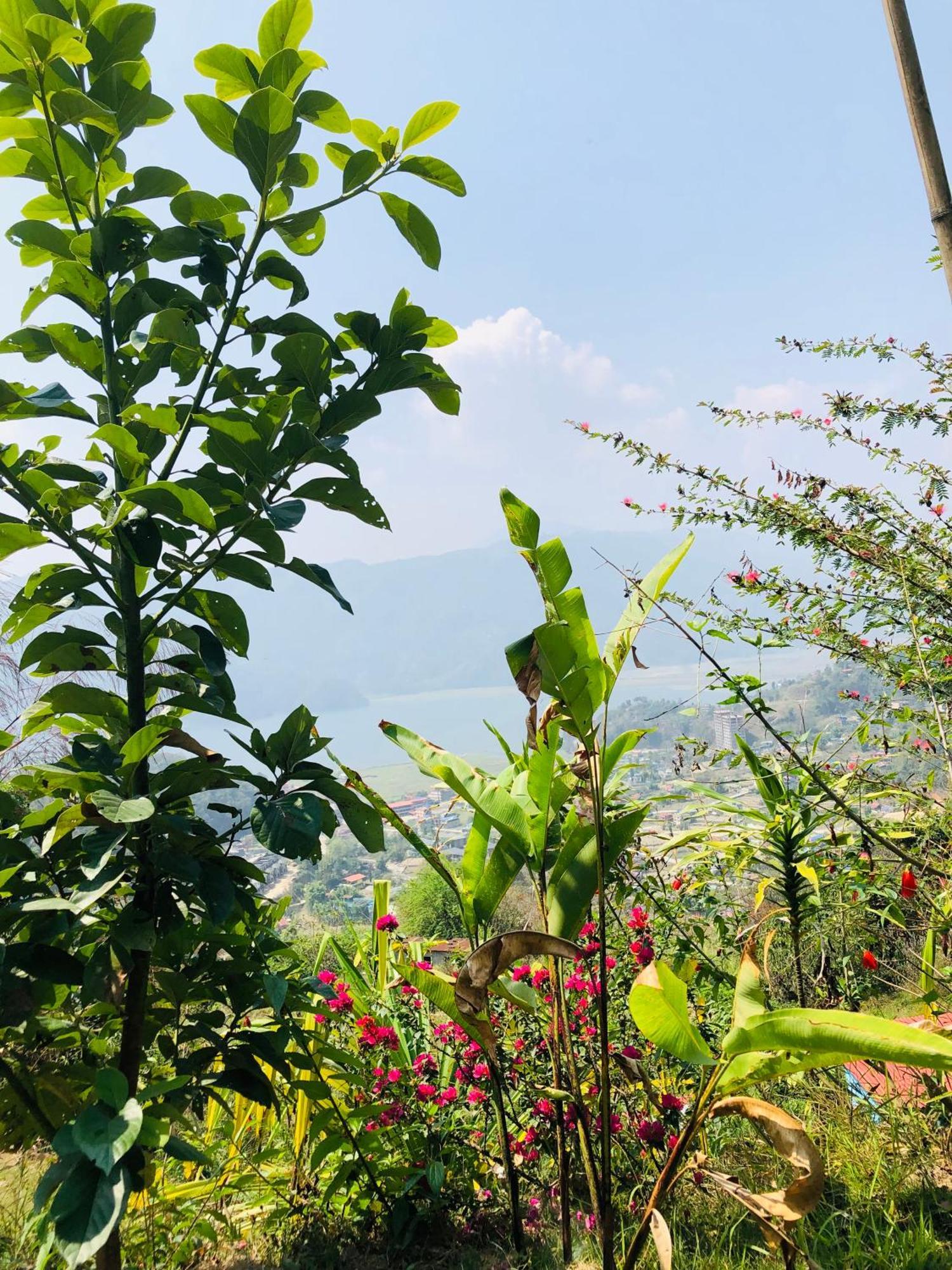 Into The Wild Pokhara Villa Kaski Luaran gambar